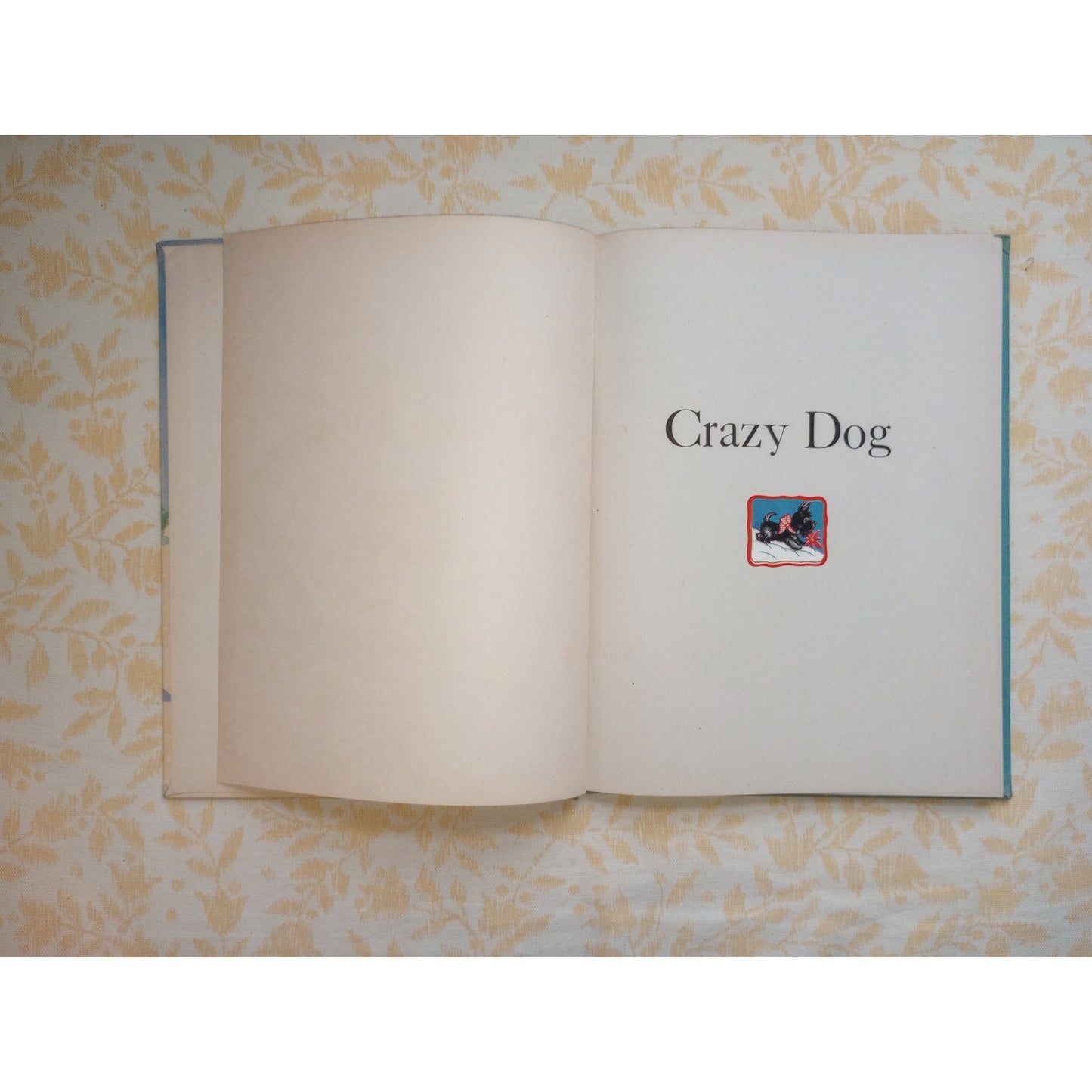 Crazy Dog by Leon Ware Illustrated Morgan Dennis Vintage Children's Book 1944