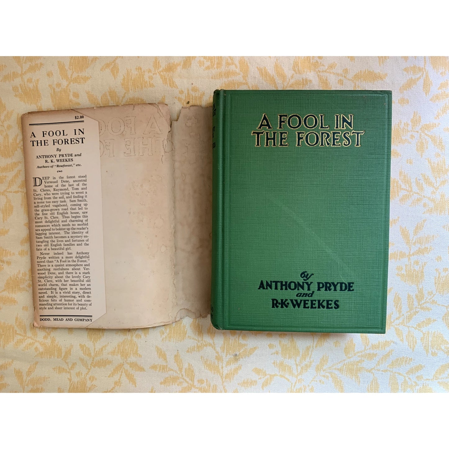 A Fool in the Forest Anthony Pryde & R K Weekes Vintage 1928 1st Edition HCDJ