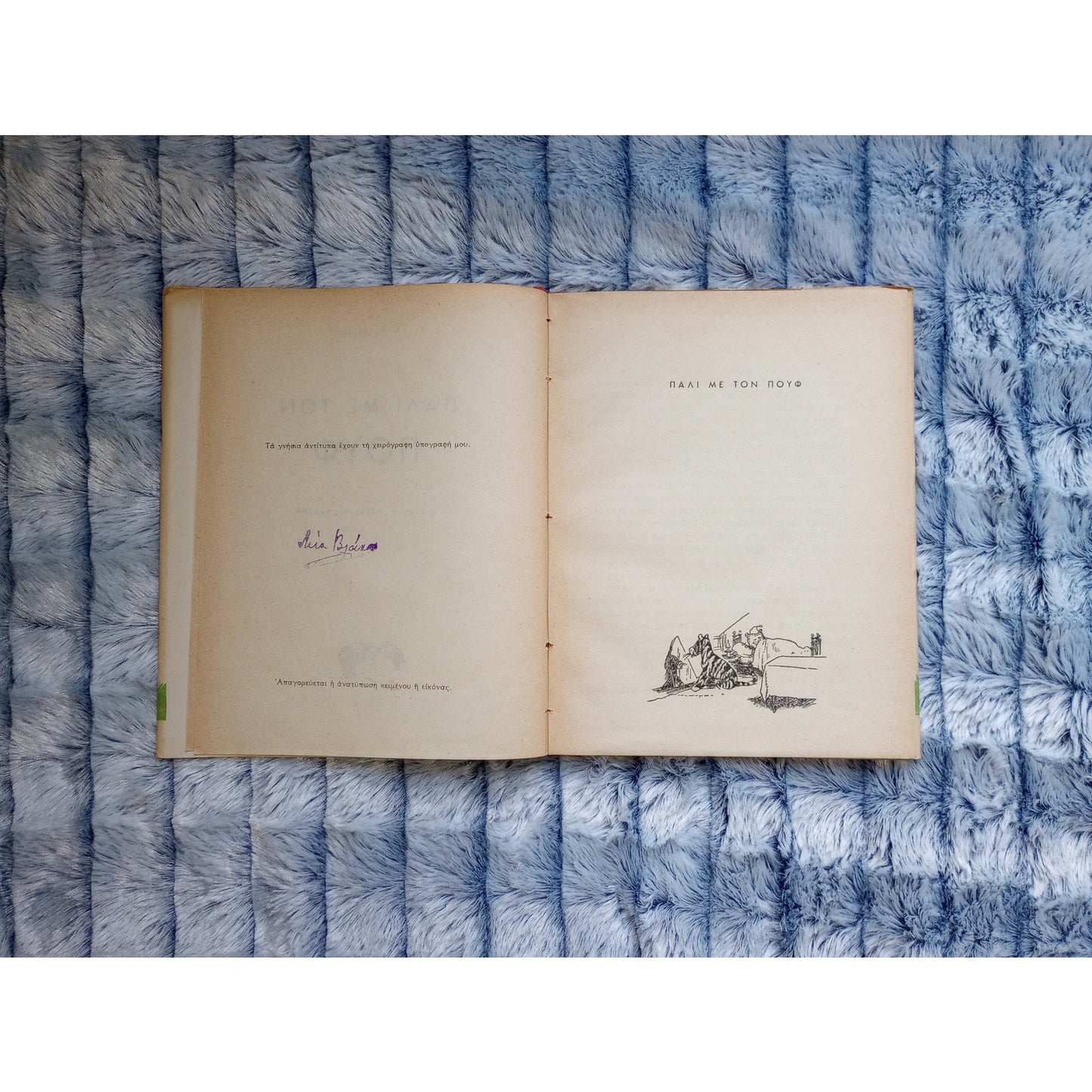 Greek Winnie the Pooh Again Very Rare Lina Vlachou Translation HCDJ Vintage Book