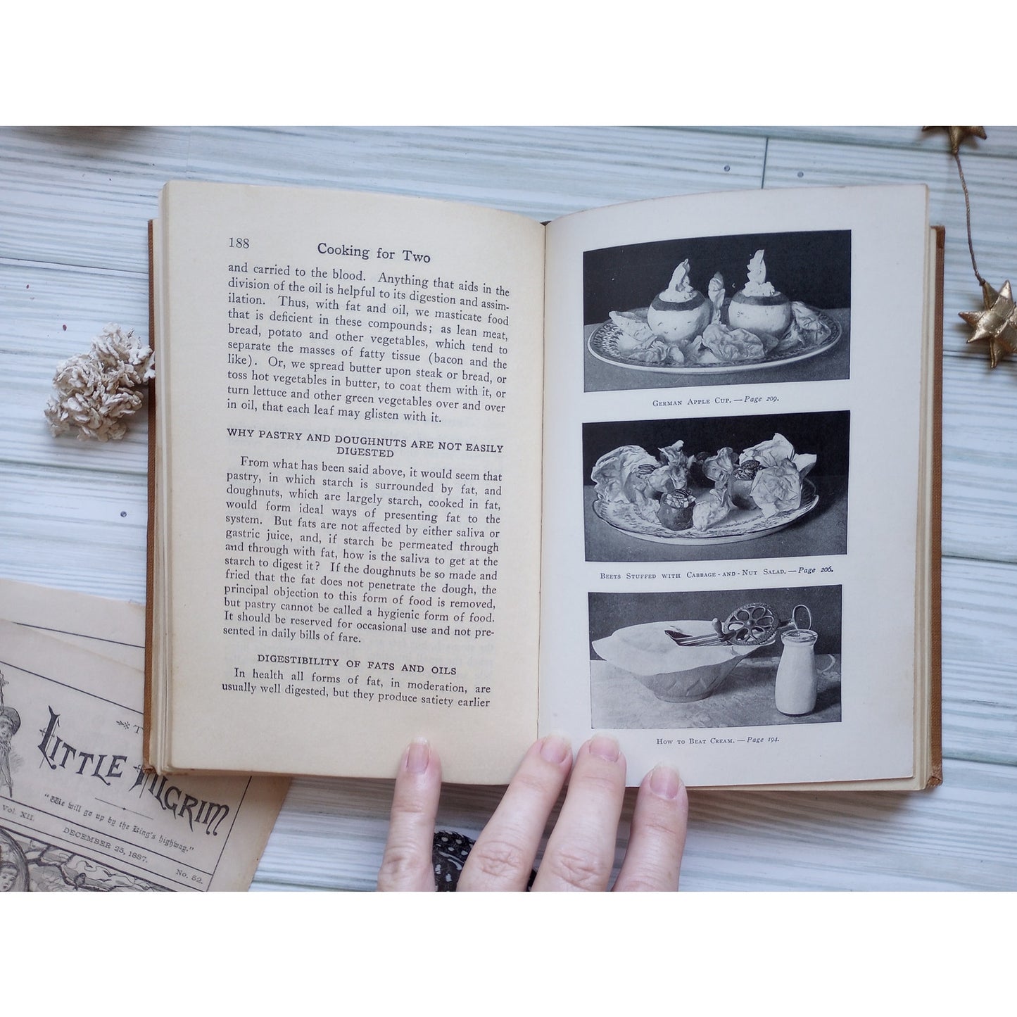 1924 Janet Hill Cooking For Two A Handbook For Young Housekeepers Old Cookbook