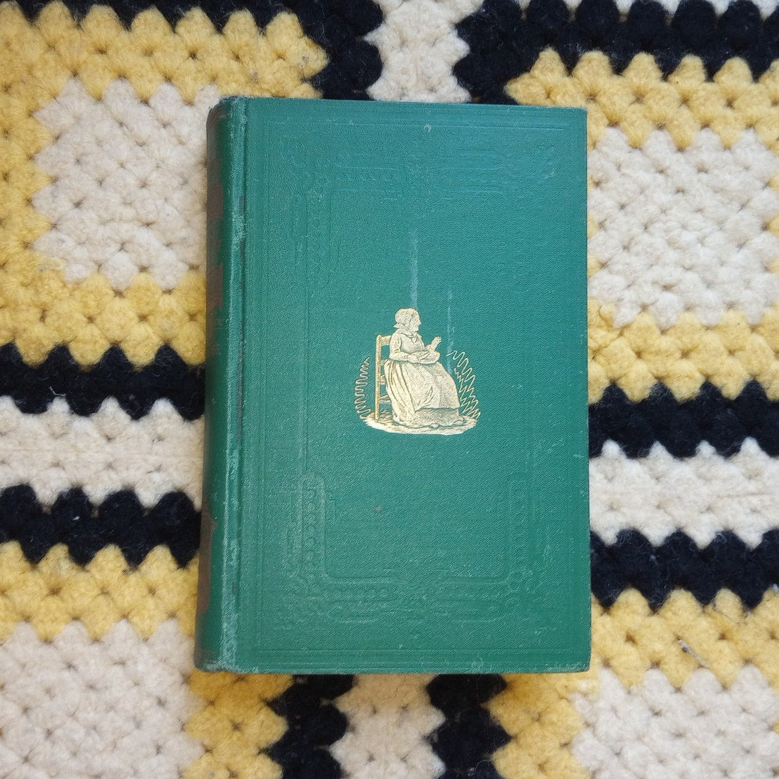 My Wayward Pardner by Marietta Holley Antique Illustrated Feminist HC 1881