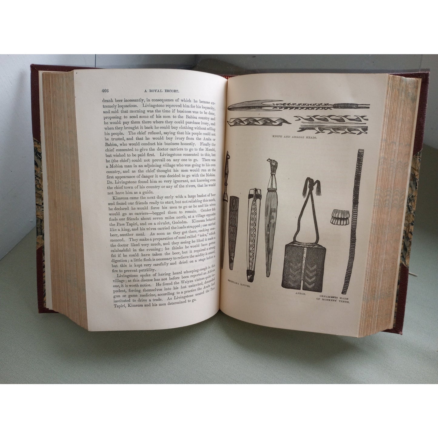 J.E. CHAMBLISS LIFE & LABORS DAVID LIVINGSTONE SOUTHERN & CENTRAL AFRICA LEATHER 1876