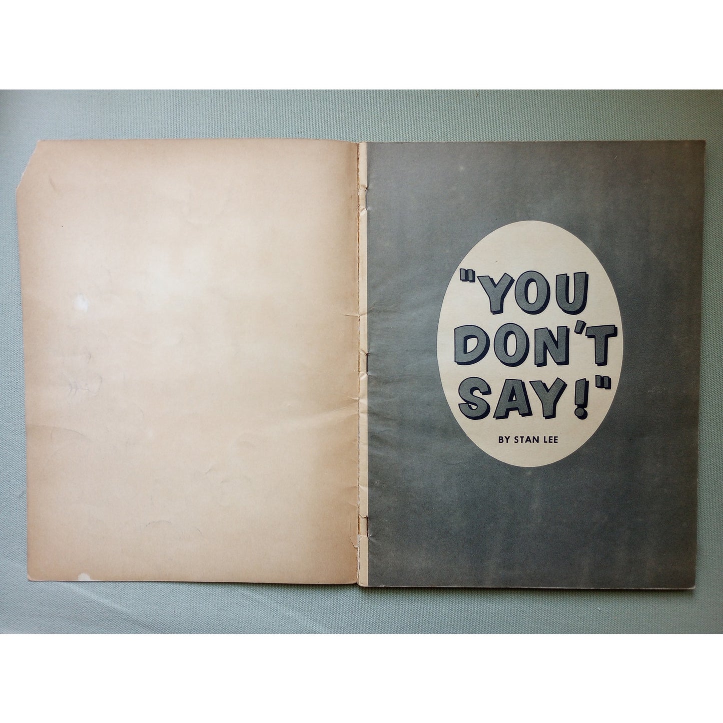 You Don't Say Political Satire 1963 First Edition by Stan Lee of Marvel Comics