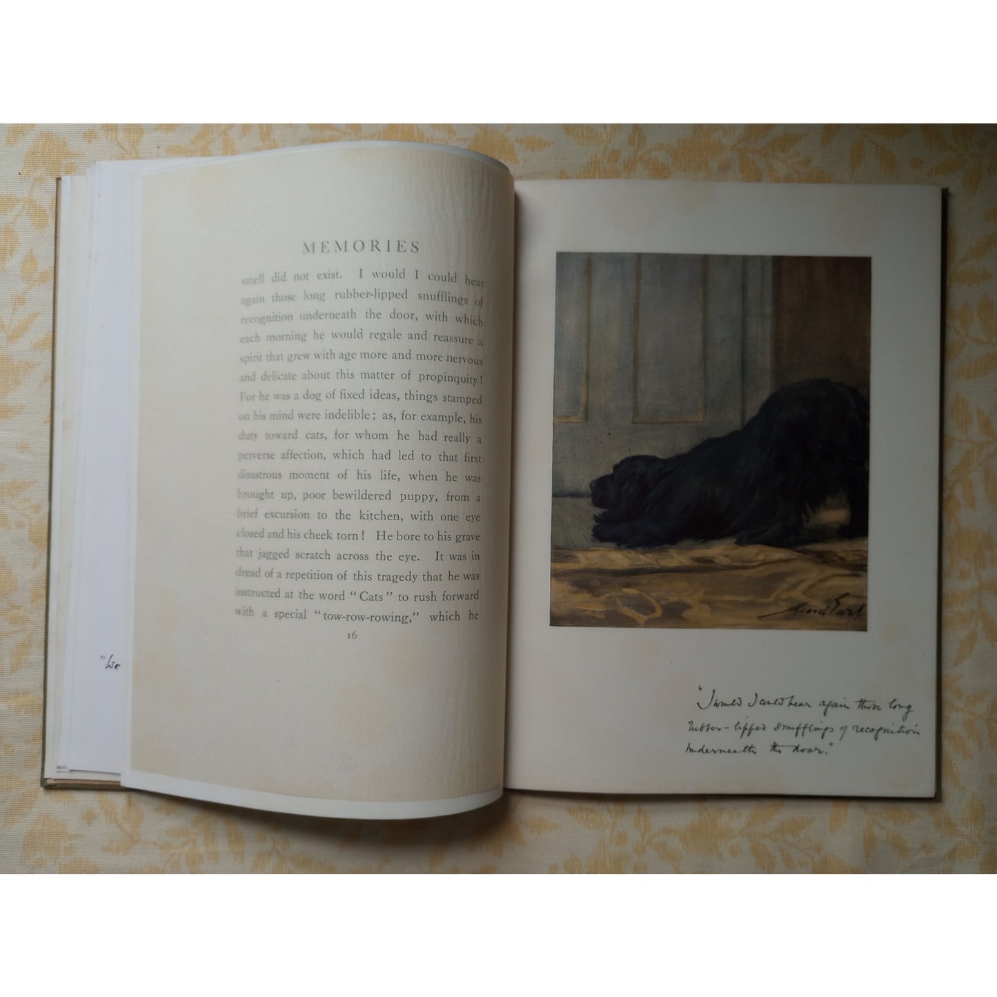 Memories John Galsworthy Antique Dog Book 1914 Cocker Spaniel Story Illustrated