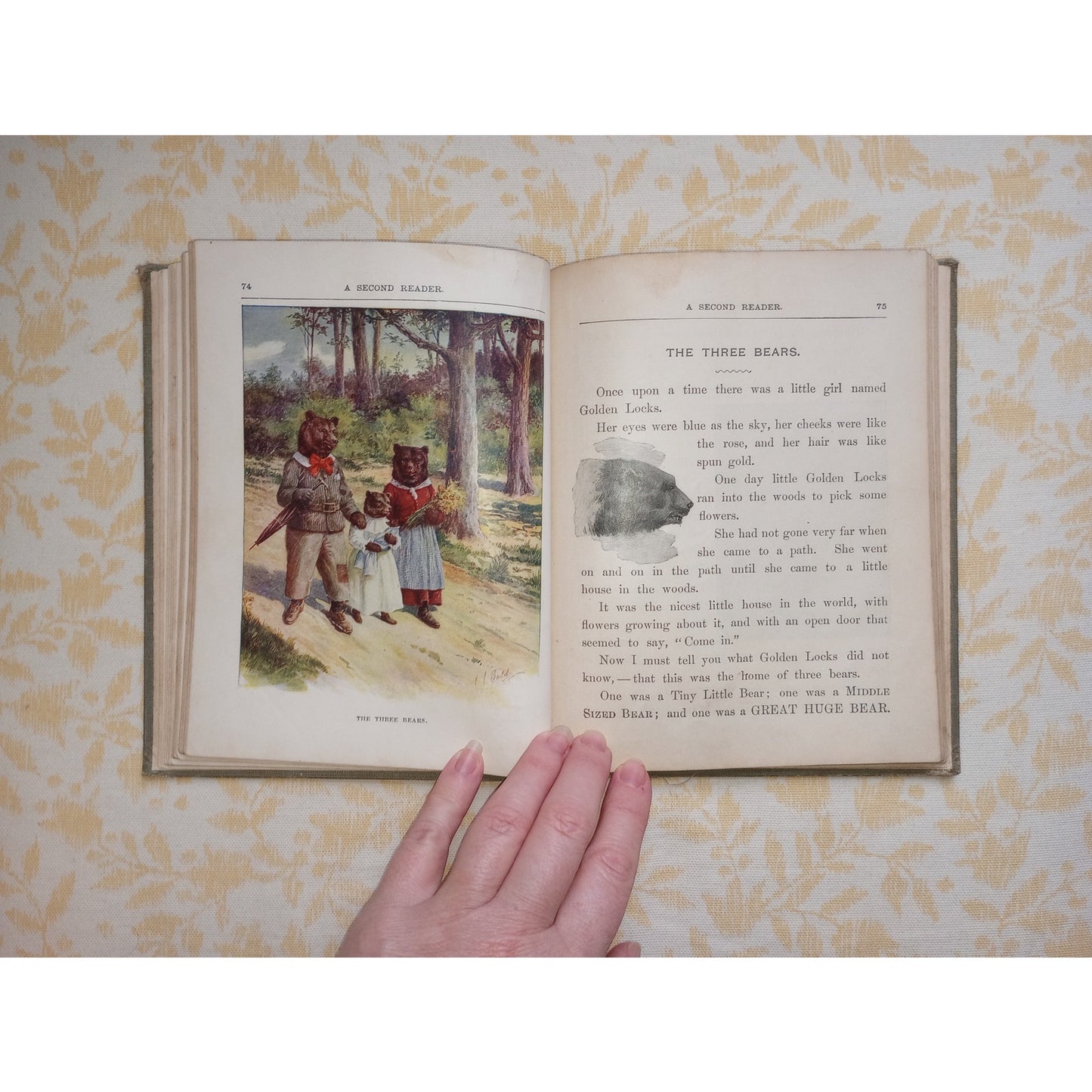 Antique Children's Book 1902 Illustrated Chicken Little King Midas Goldilocks