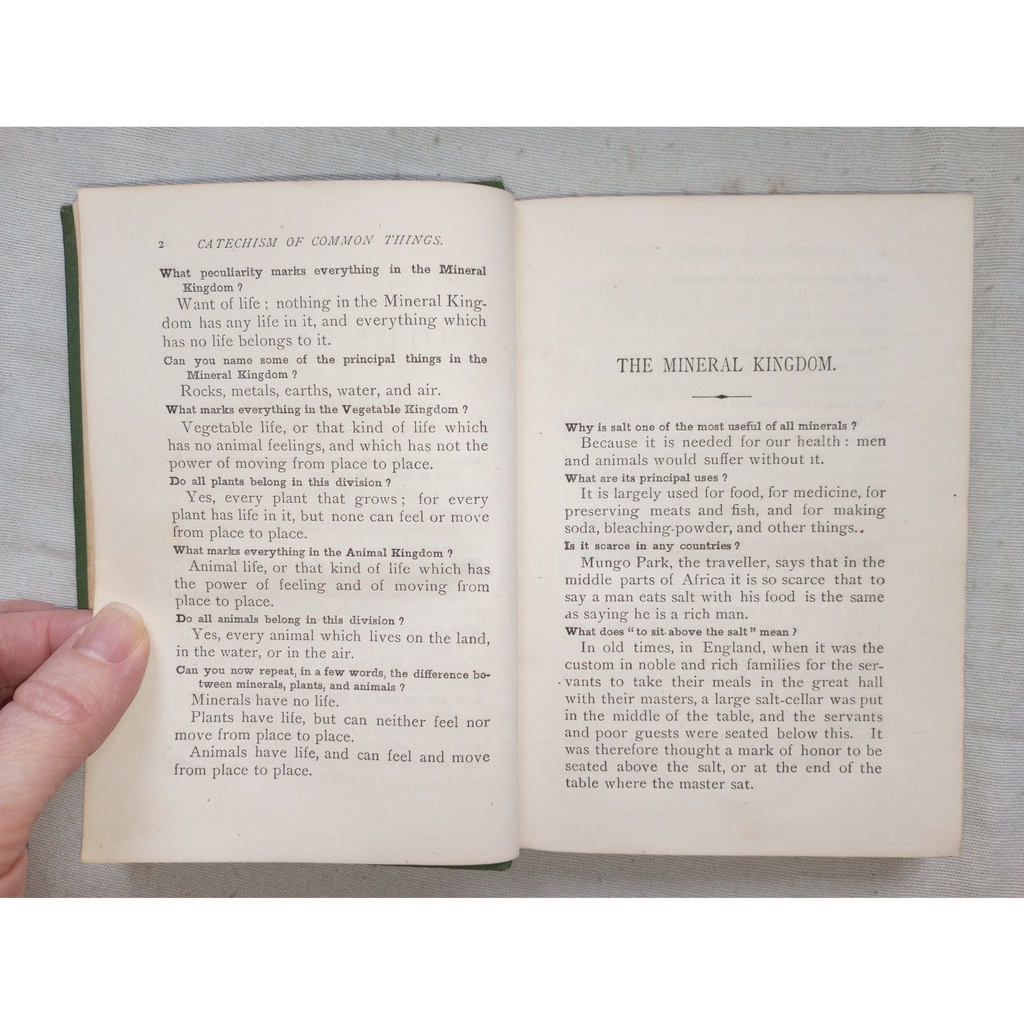 Young Folks Catechism Of Common Things Q&A Minerals Vegetables Animals 1881