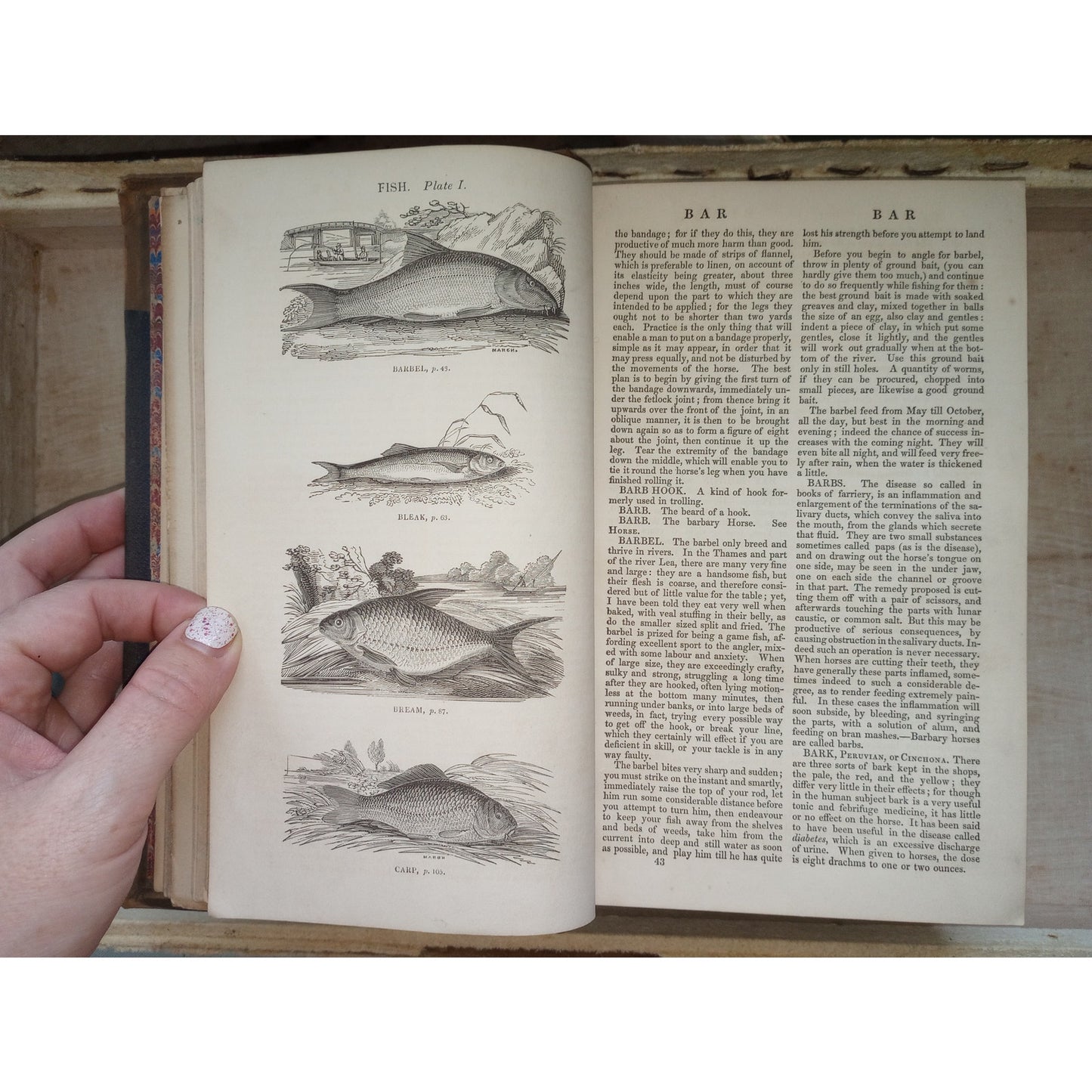 1848 Hunting Fishing Shooting Guide Horse Racing Dogs Guns Fly Fish Antique Book