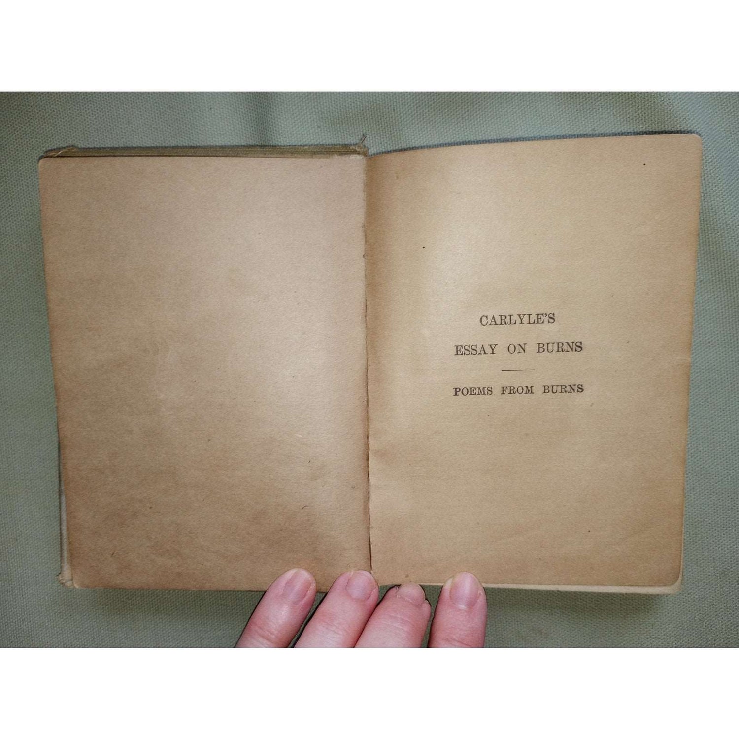 Carlyle's Essay On Burns Cotter's Saturday Night 1910 Macmillan Pocket Classics