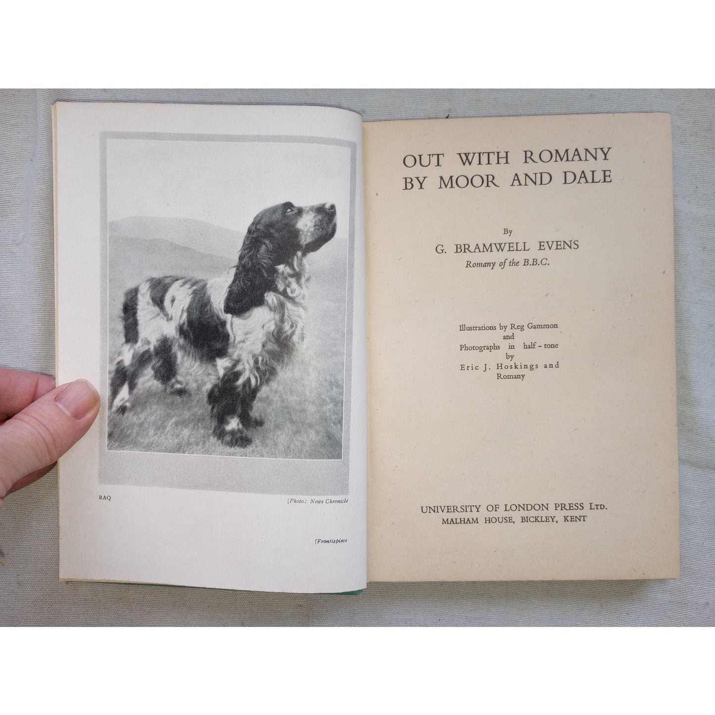 Out With Romany by Moor & Dale [G. Bramwell Evens, 1944] BBC 1st Edition / 1st Print