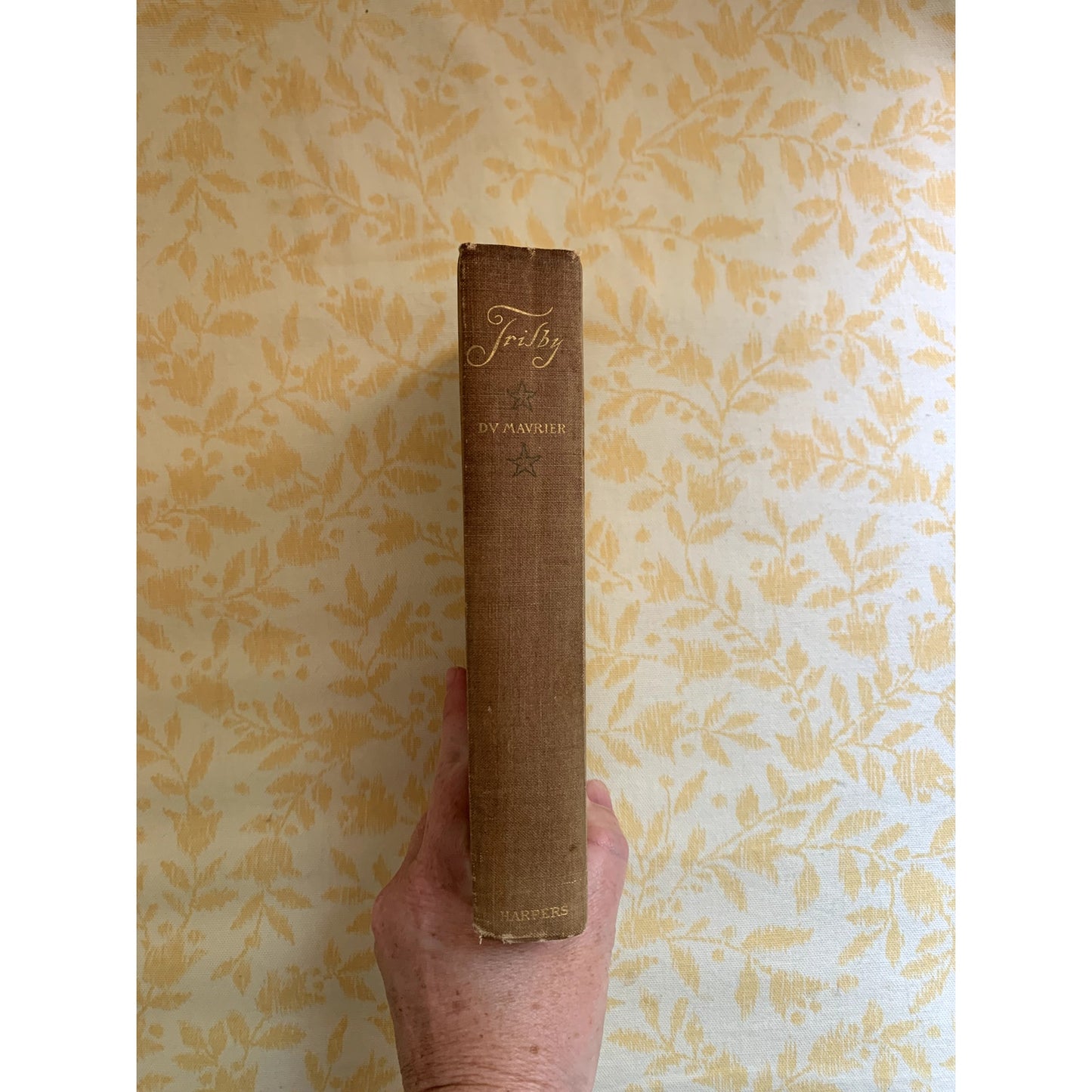 George Du Maurier Trilby A Novel 1894 Illustrated First Edition Fine Binding