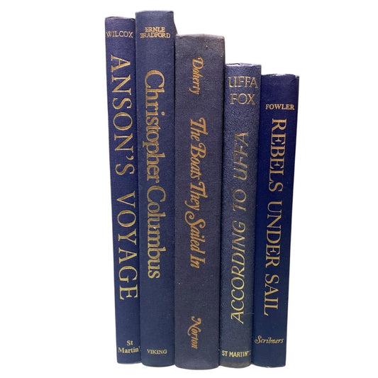 Vintage Blue & Gold Hardcover Old Books Staging Decor Home Office BnB Lot of 5