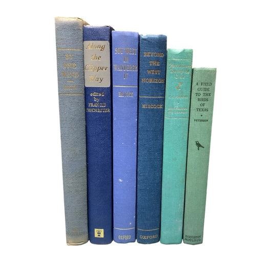 Old Vintage BLUE Books Shades of Blue Teal Hardcover Staging Decor Set of 6