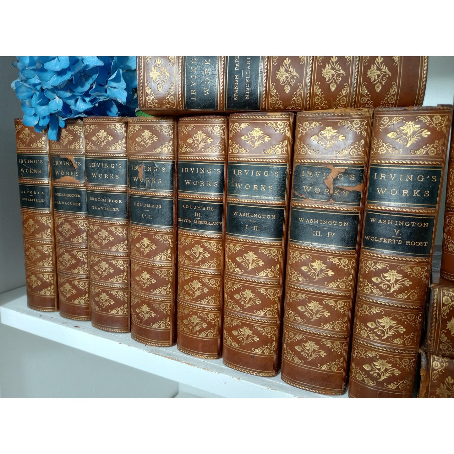 The Works of Washington Irving 12 Volume Set 1866 Lovely Leather Bound Marbled