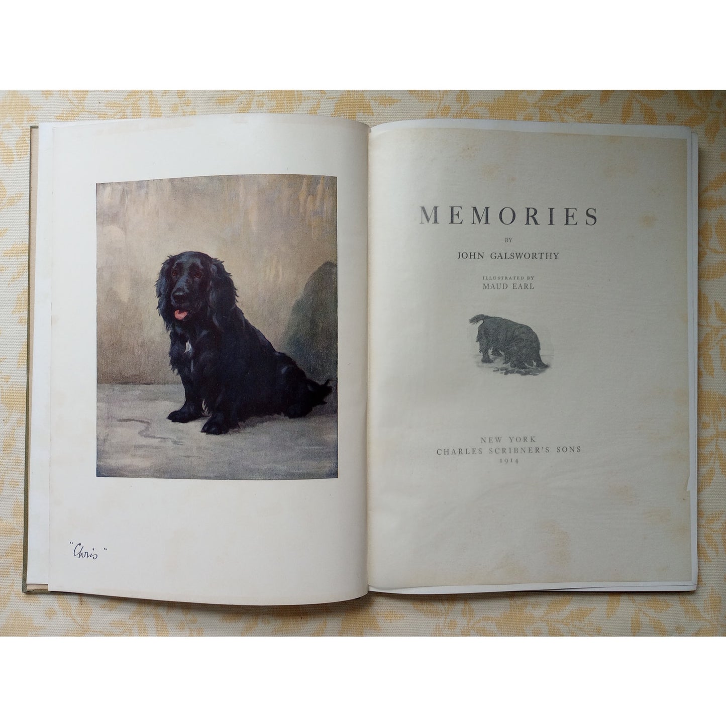 Memories John Galsworthy Antique Dog Book 1914 Cocker Spaniel Story Illustrated