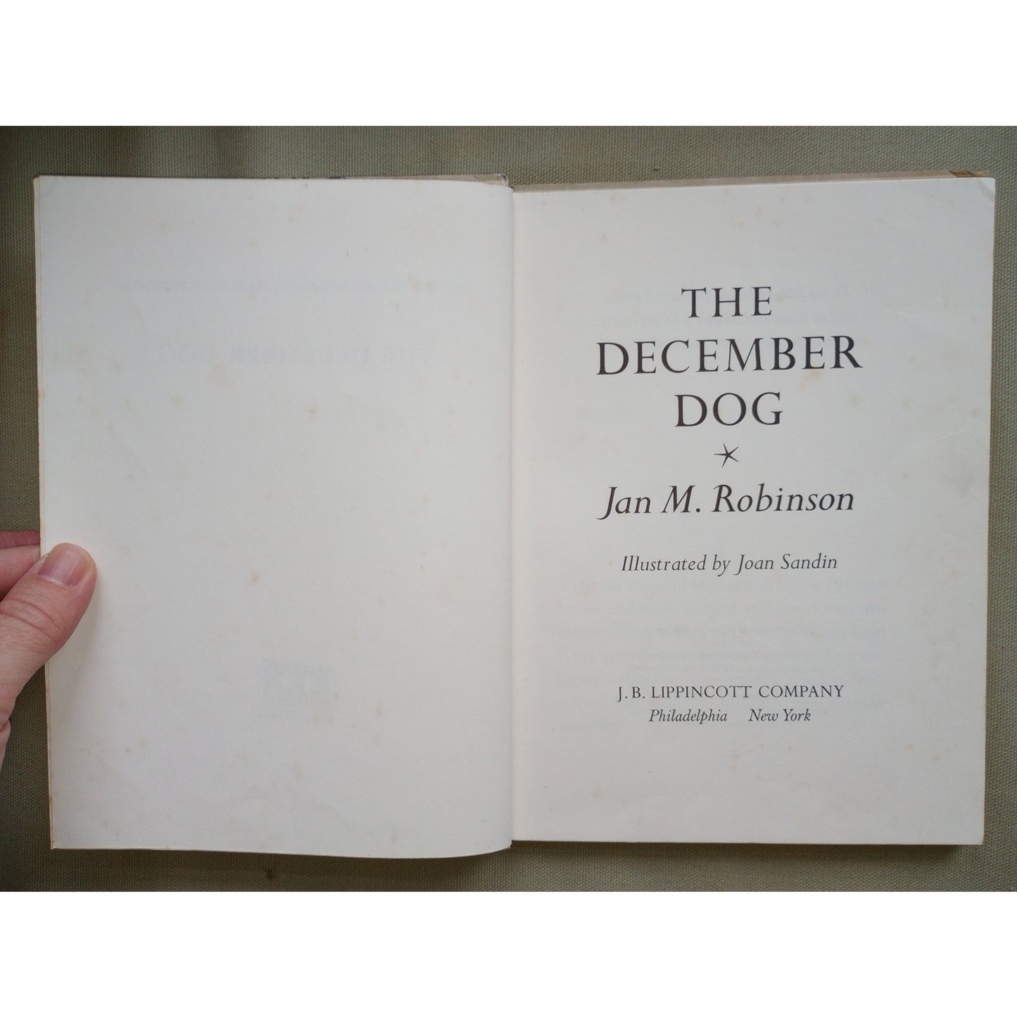 The December Dog Vintage Children's Book 1969 Jan M. Robinson