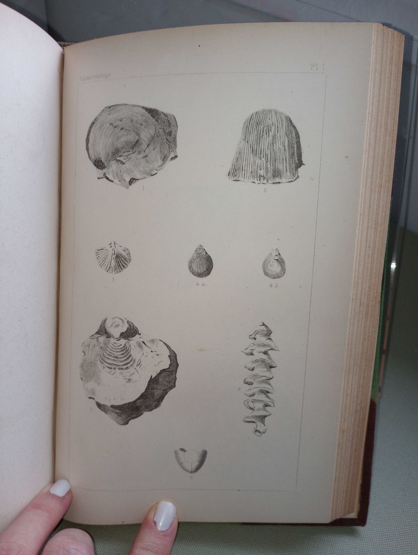 EXPLORATION OF THE RED RIVER OF LOUISIANA [RANDOLPH MARCY, 1854] FIRST EDITION