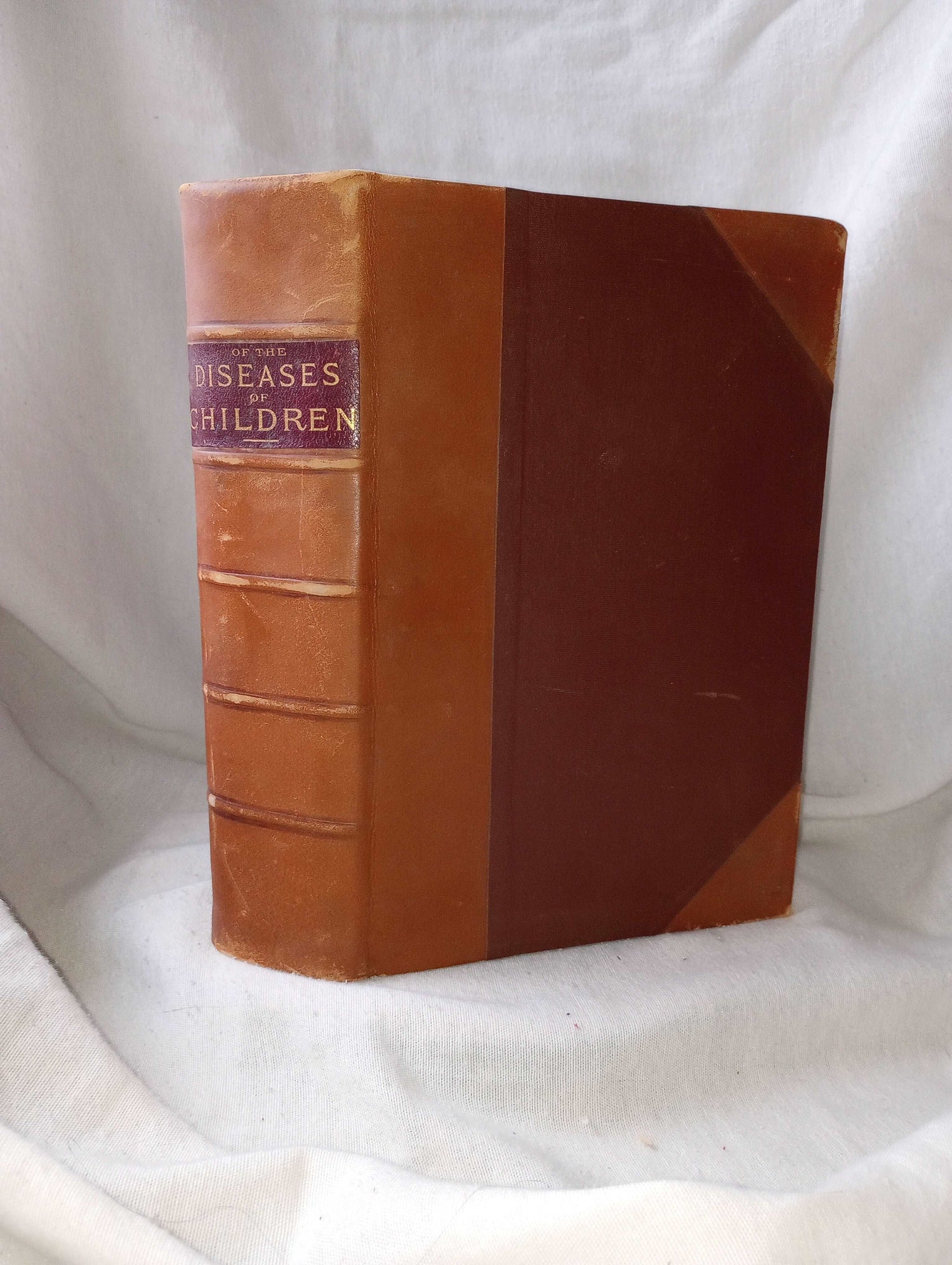 1894 AMERICAN TEXT BOOK OF THE DISEASES OF CHILDREN LEATHER EDITED BY STARR