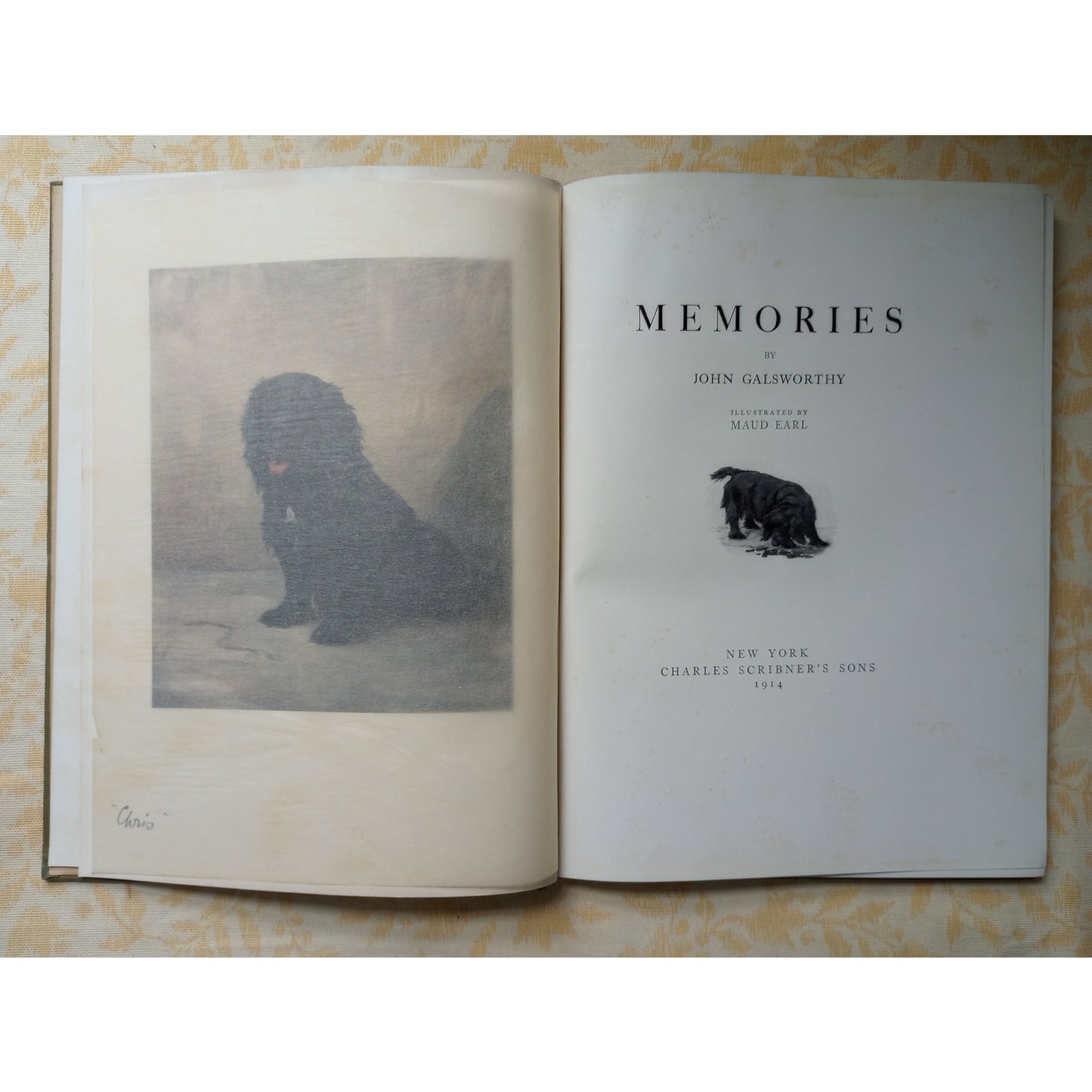 Memories John Galsworthy Antique Dog Book 1914 Cocker Spaniel Story Illustrated