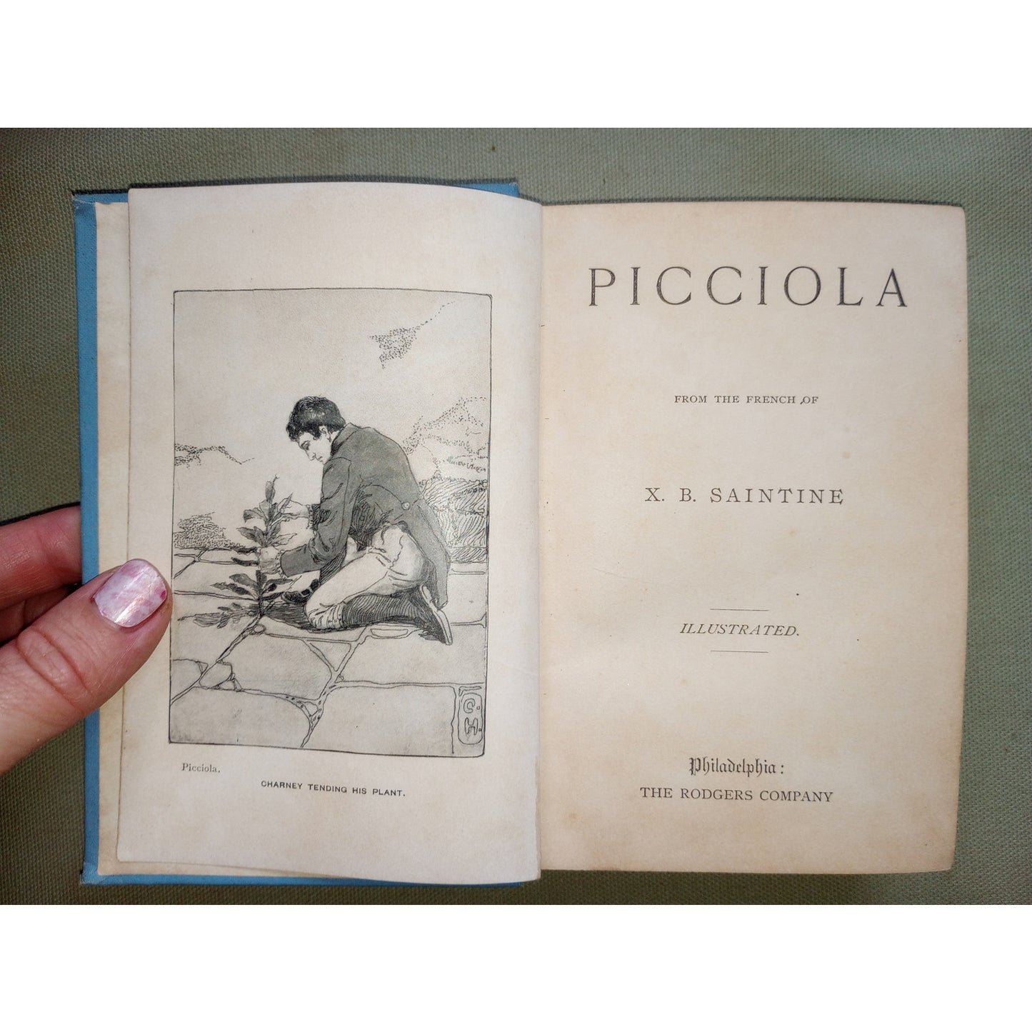 Picciola: The Prisoner of Fenestrella, or, Captivity Captive by X. B. Saintine Illustrated