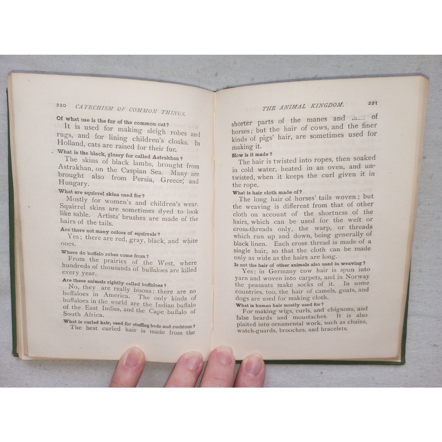 Young Folks Catechism Of Common Things Q&A Minerals Vegetables Animals 1881