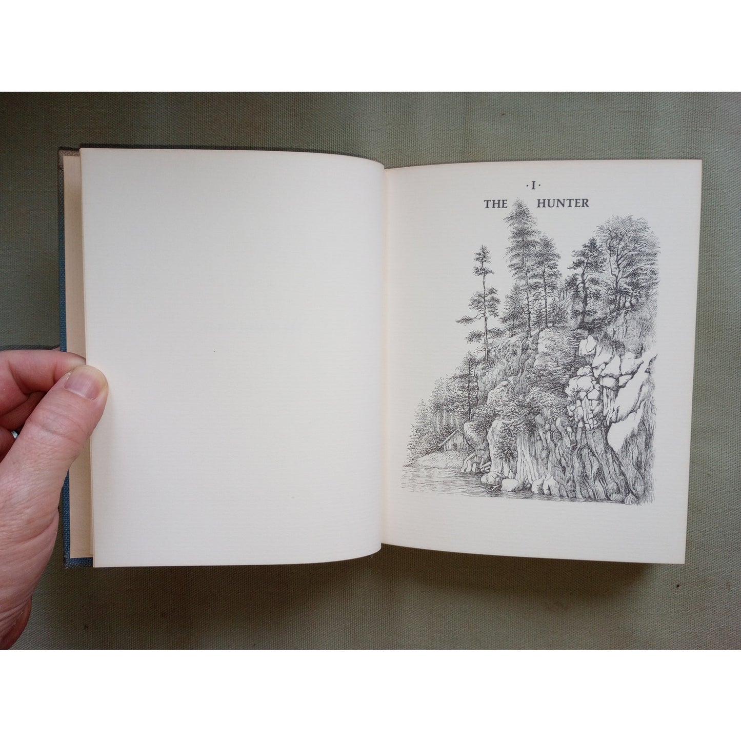 The Animal Family Randall Jarrell 1965 First Edition Maurice Sendak Illustrator