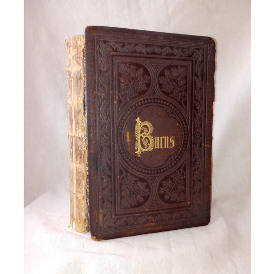 The Complete Works Of Robert Burns Poetry 1857 Elegantly Illustrated DISBOUND