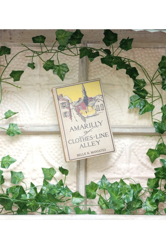 Amarilly of Clothes-Line Alley Belle Maniates Illustrated Antique Book Cover Art