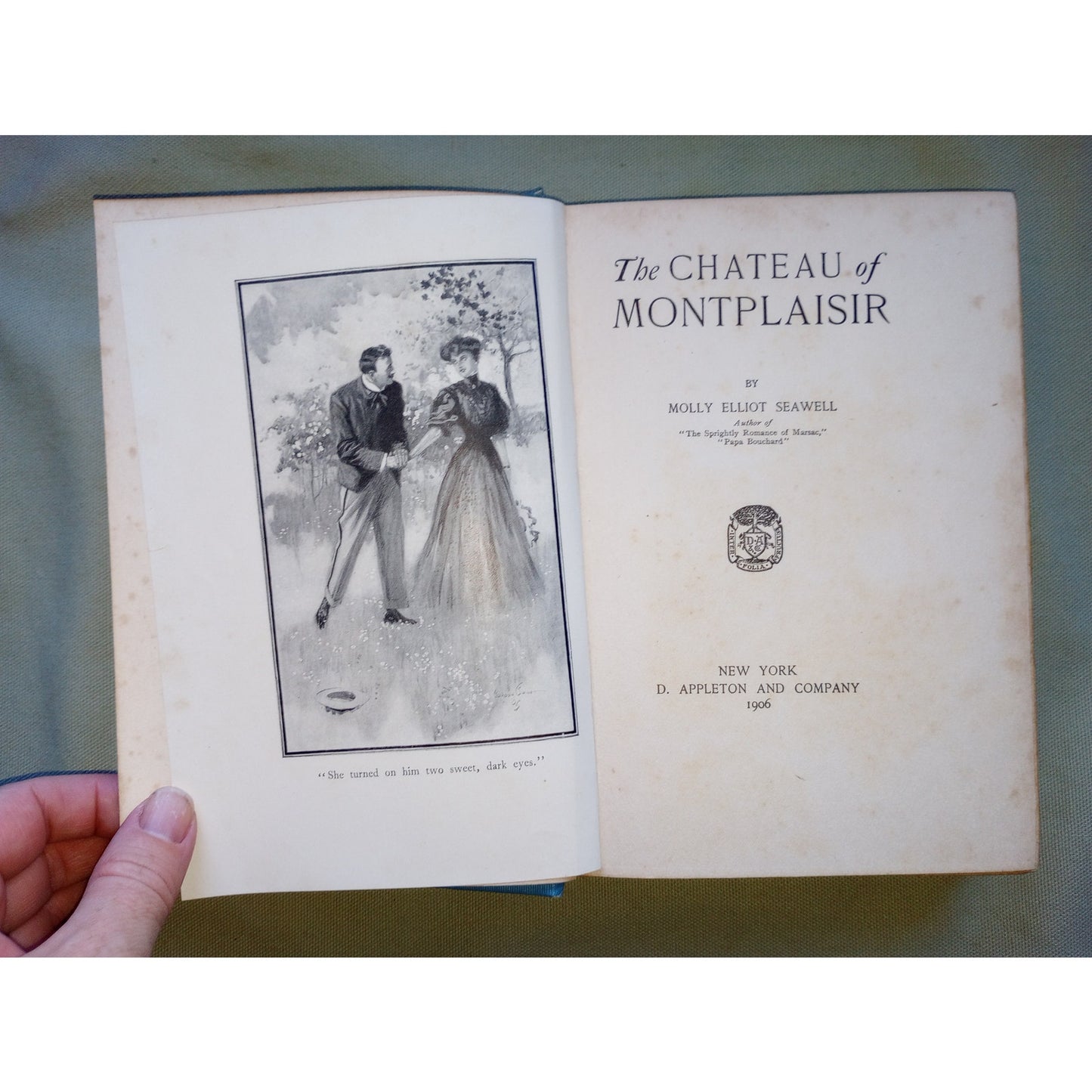 RARE 1906 Chateau of Montplaisir Molly Elliot Seawall Margaret Armstrong Cover