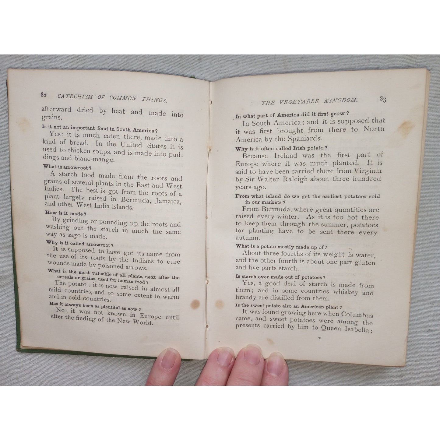 Young Folks Catechism Of Common Things Q&A Minerals Vegetables Animals 1881