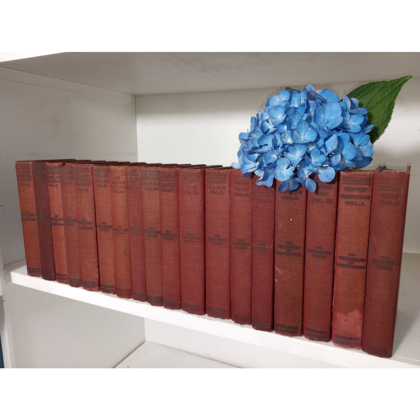 Antique Book Set Anthony Trollope 39 Volumes Chronicles of Barsetshire Palliser