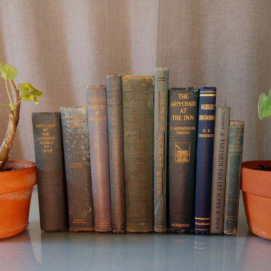 10 Antique Vintage Blue Hardcover Books Decor Staging Home Library Cottage Core