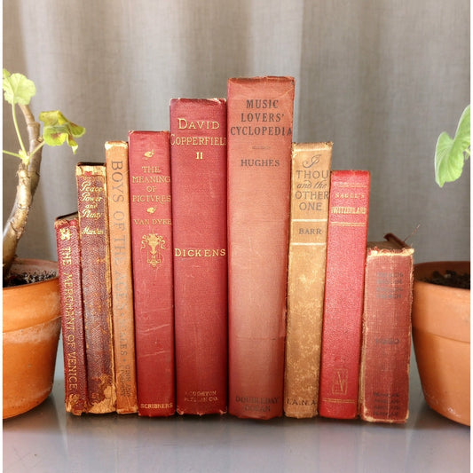 9 Antique Vintage Red Shades Hardcover Books Decor Staging Library Cottage Core