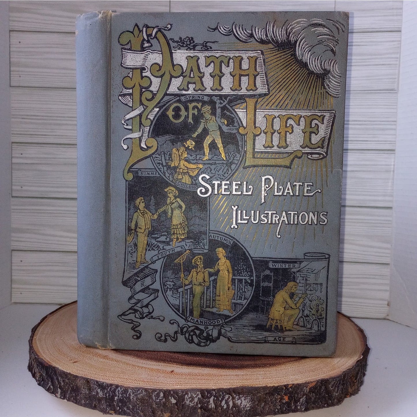 The Path of Life [Rev. Ziegler, 1889] SALESMAN SAMPLE Book 2 Covers + Prospectus