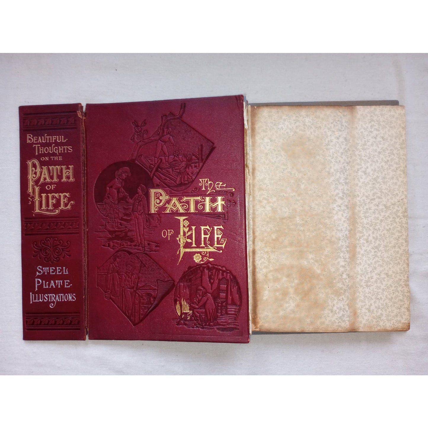 The Path of Life [Rev. Ziegler, 1889] SALESMAN SAMPLE Book 2 Covers + Prospectus