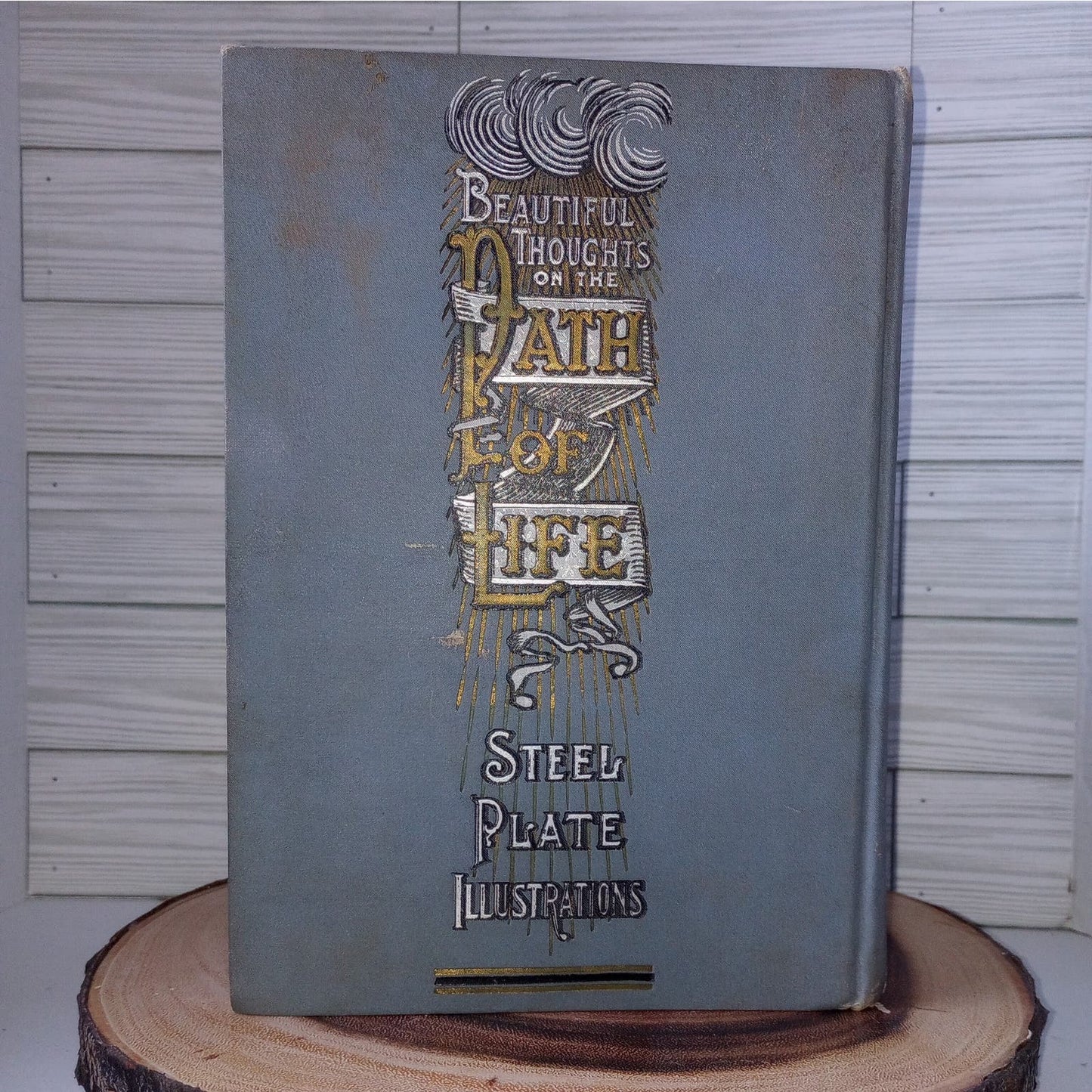 The Path of Life [Rev. Ziegler, 1889] SALESMAN SAMPLE Book 2 Covers + Prospectus