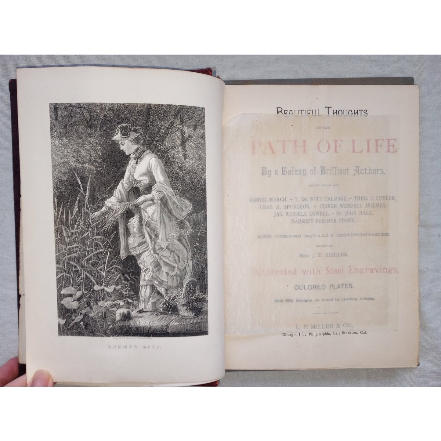 The Path of Life [Rev. Ziegler, 1889] SALESMAN SAMPLE Book 2 Covers + Prospectus