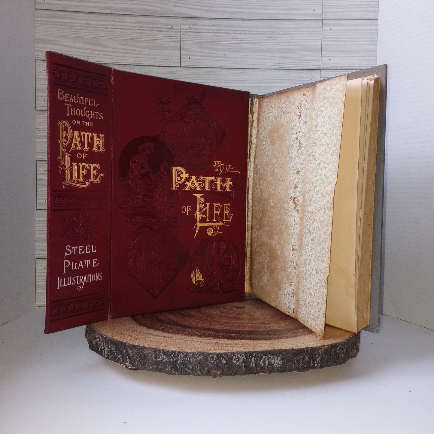 The Path of Life [Rev. Ziegler, 1889] SALESMAN SAMPLE Book 2 Covers + Prospectus