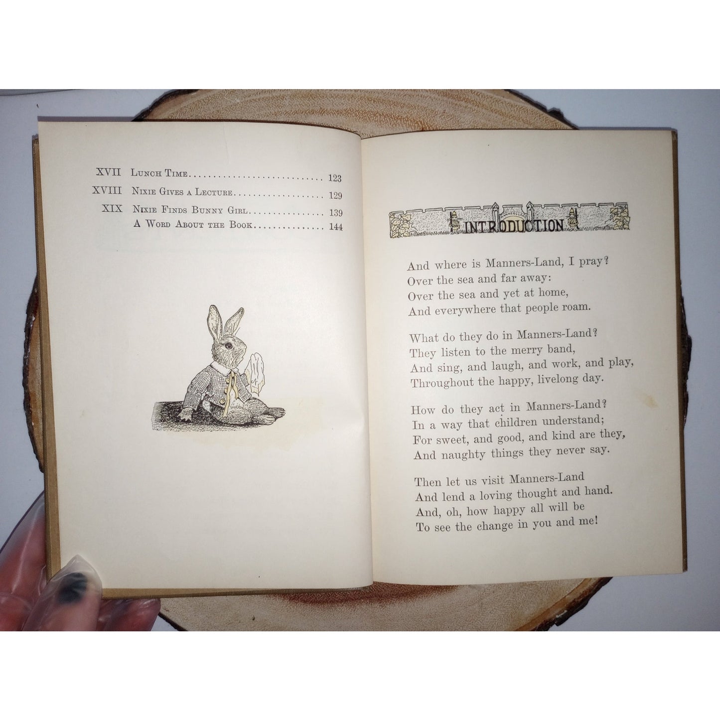 Nixie Bunny in Manners-Land [Joseph Sindelar, 1912] Antique Children's Book