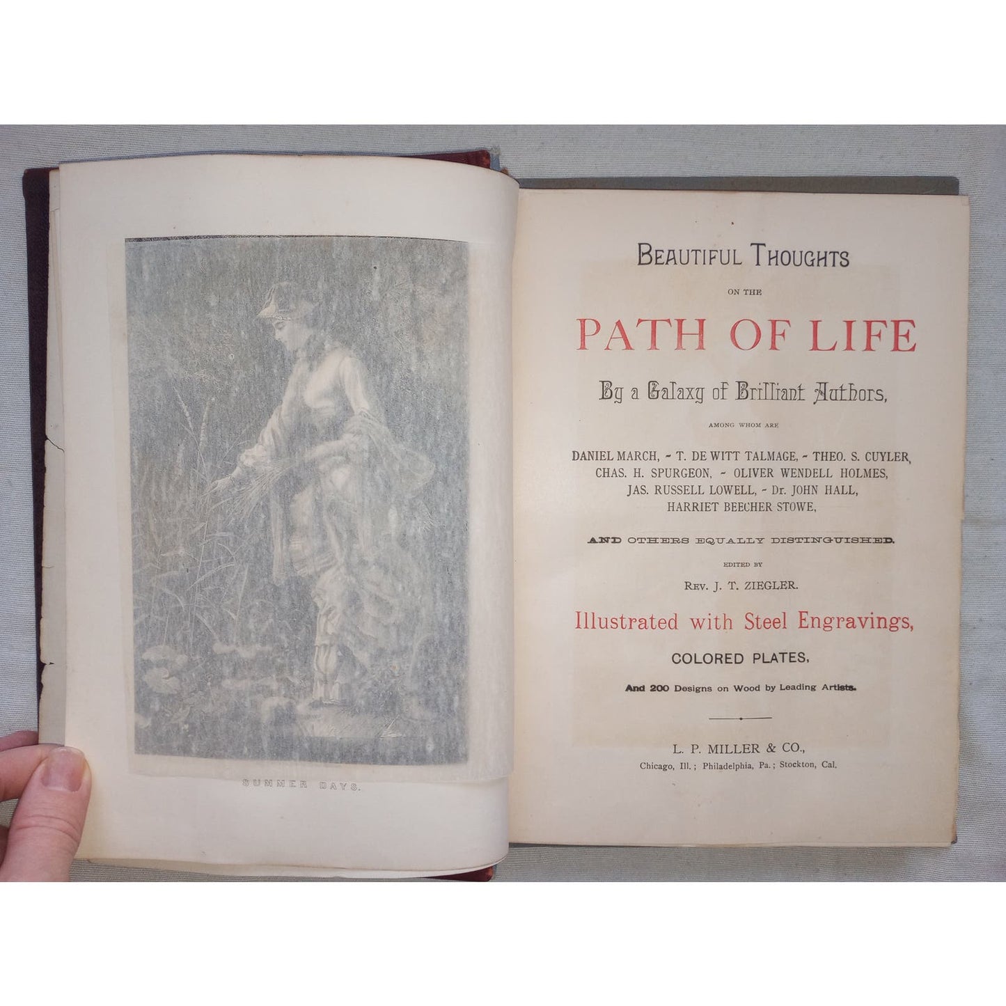 The Path of Life [Rev. Ziegler, 1889] SALESMAN SAMPLE Book 2 Covers + Prospectus